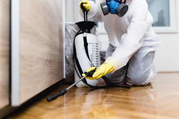 Best Wasp Removal Services  in Kettle Falls, WA