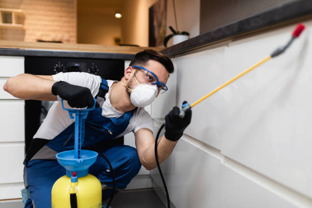 Best Pest Inspection Near Me  in Kettle Falls, WA