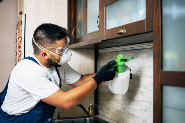 Reliable Kettle Falls, WA Pest Control Solutions