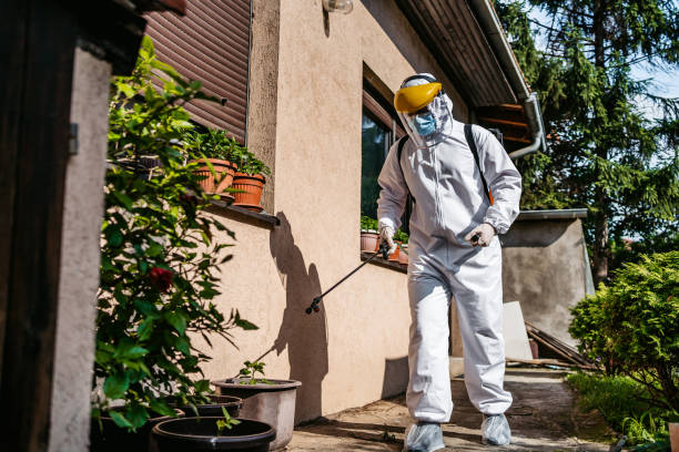 Best Affordable Pest Control Services  in Kettle Falls, WA