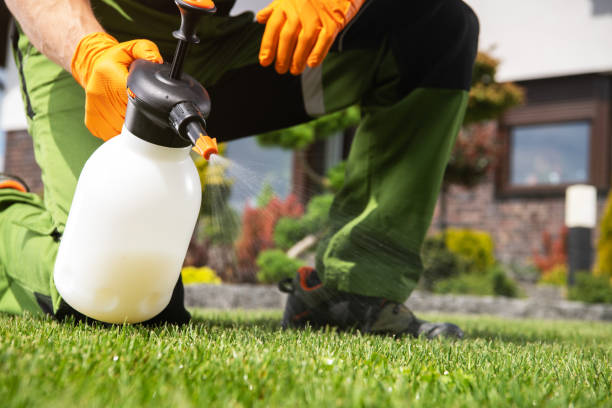 Best Pest Removal Services  in Kettle Falls, WA