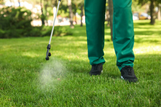 Best Affordable Pest Control Services  in Kettle Falls, WA