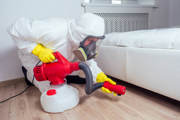 Best Rat Extermination Near Me  in Kettle Falls, WA