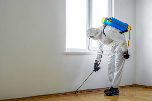 Best Mosquito Control Services  in Kettle Falls, WA