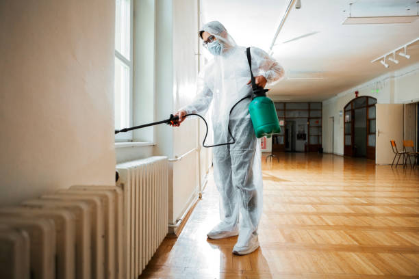 Flea Control Services in Kettle Falls, WA