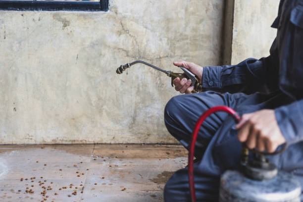 Best Pest Removal Services  in Kettle Falls, WA